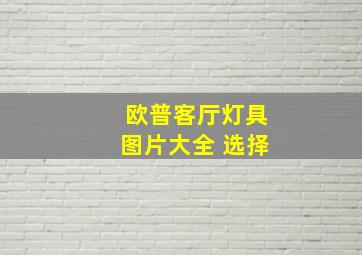 欧普客厅灯具图片大全 选择